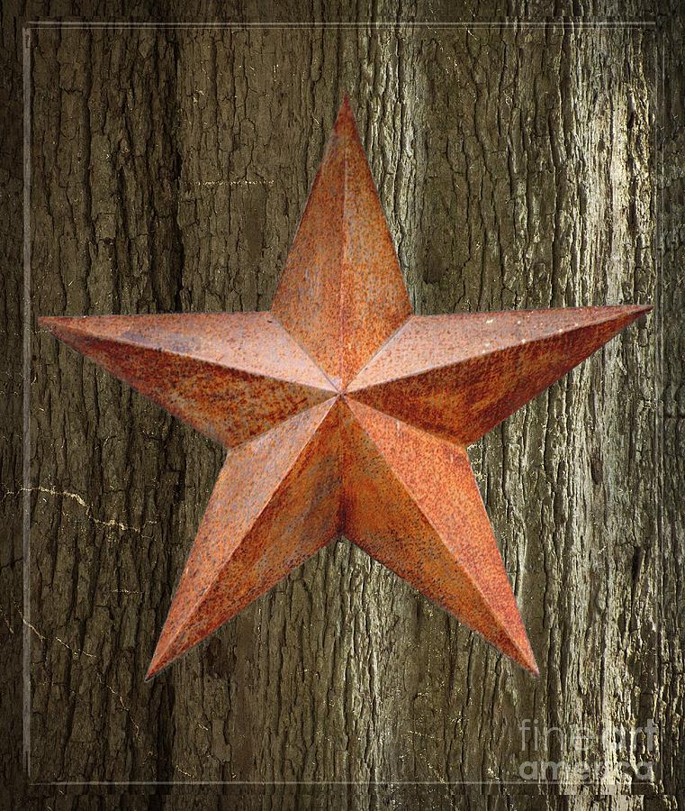 Rustic Lone Star Photograph by Ella Kaye Dickey