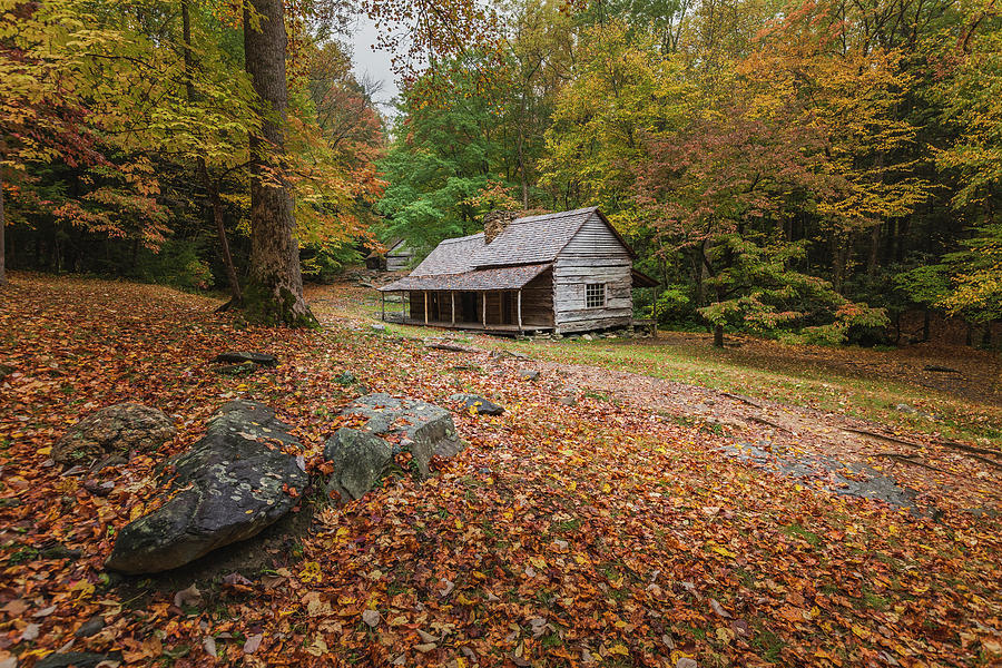 Rustic Mountain Cabin Photograph by Scott Slone