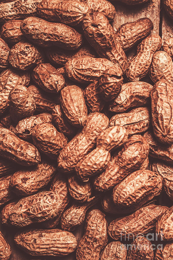 Rustic nuts background  Photograph by Jorgo Photography