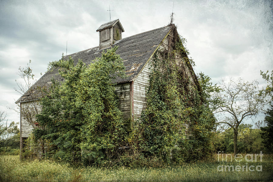 Rustic Old Barn Photograph by Lynn Sprowl