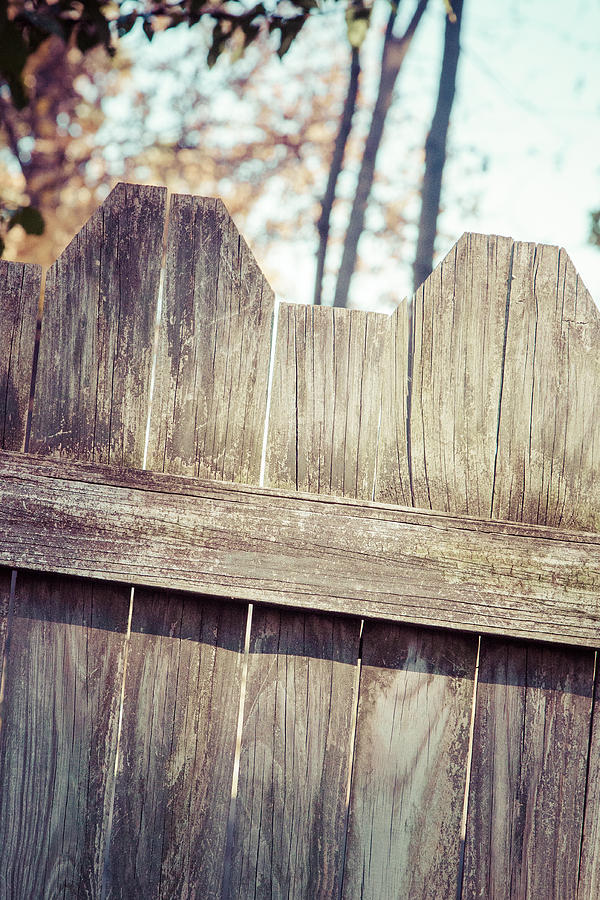 Rustic Old Fence Photograph by Erin Cadigan