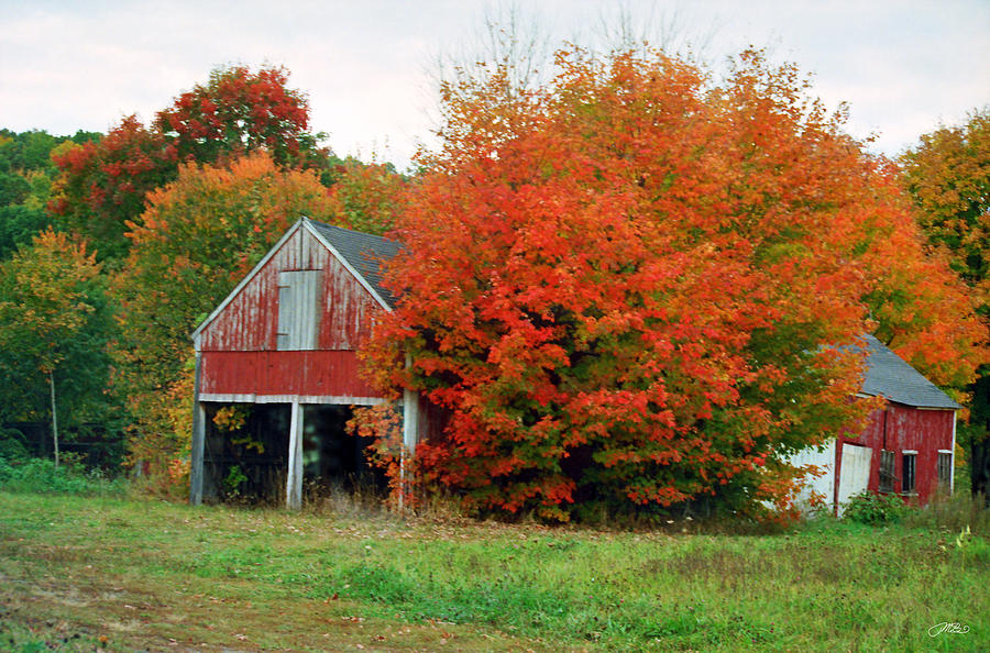 Rustic Old Red Barn In Autumn Photograph By Mike M Burke