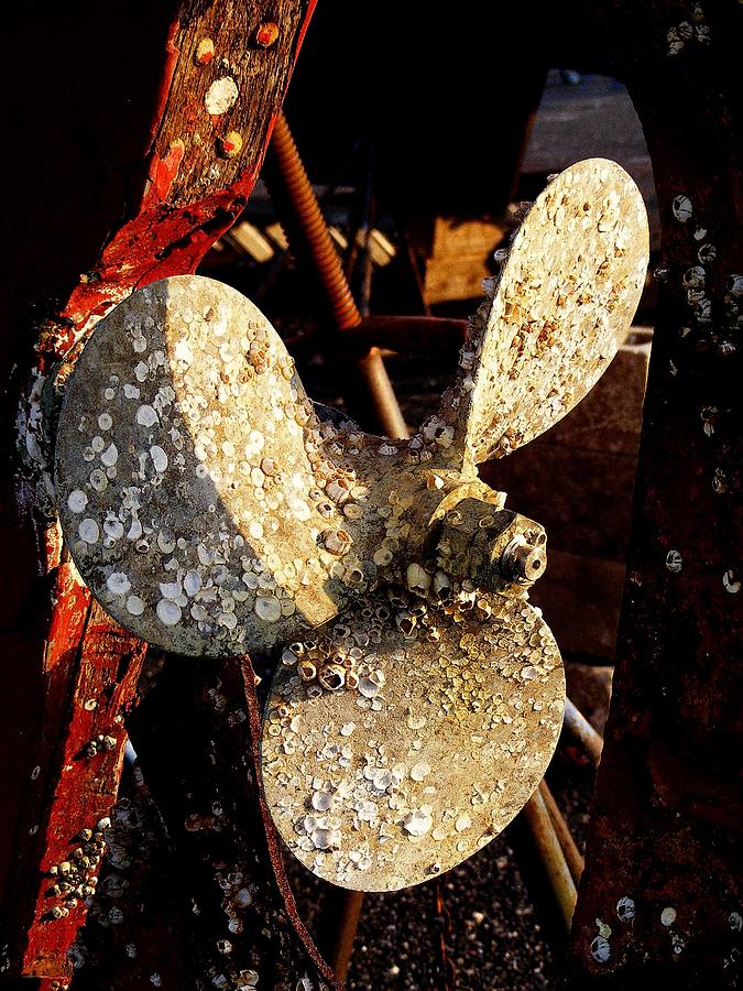 Rustic Propeller Photograph by Margie Avellino
