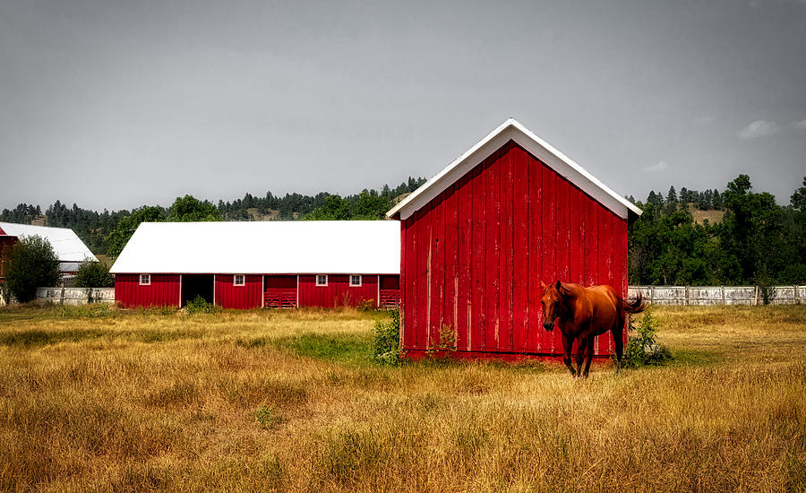 Rustic Ranch Scene In Wyoming Photograph by Mountain Dreams - Fine Art ...