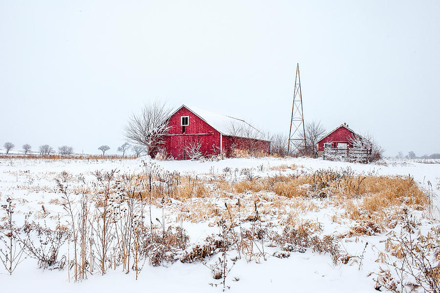 Rustic Reds Photograph by Todd Klassy