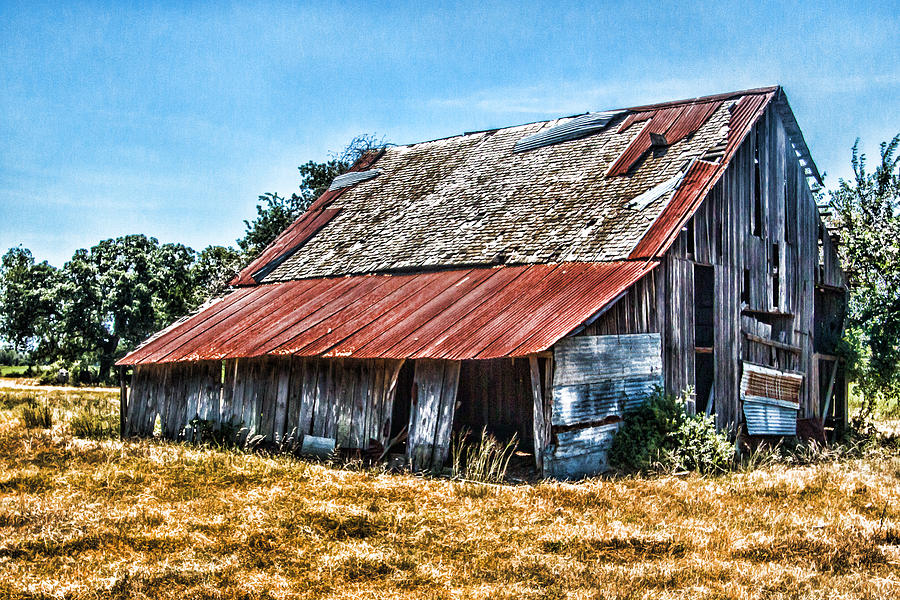 Rustic Photograph by Ronnie Prcin - Fine Art America