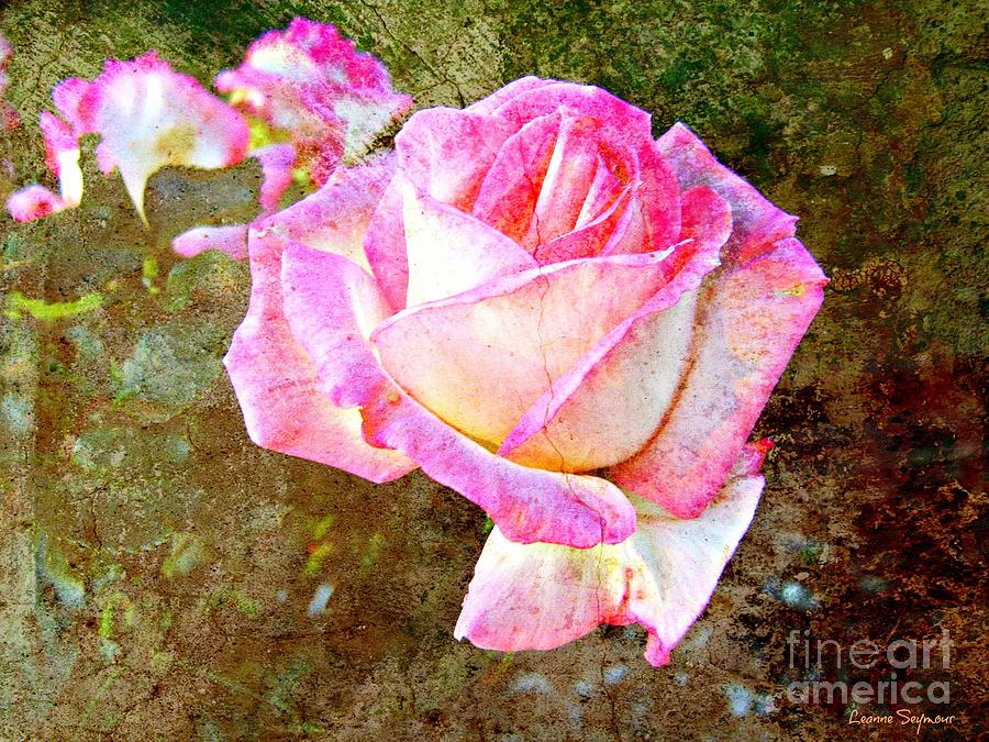 Rustic Rose Mixed Media by Leanne Seymour
