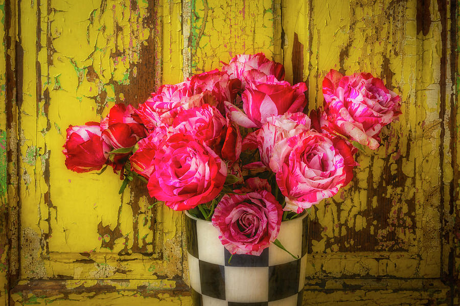 Rustic Roses Still Life Photograph by Garry Gay