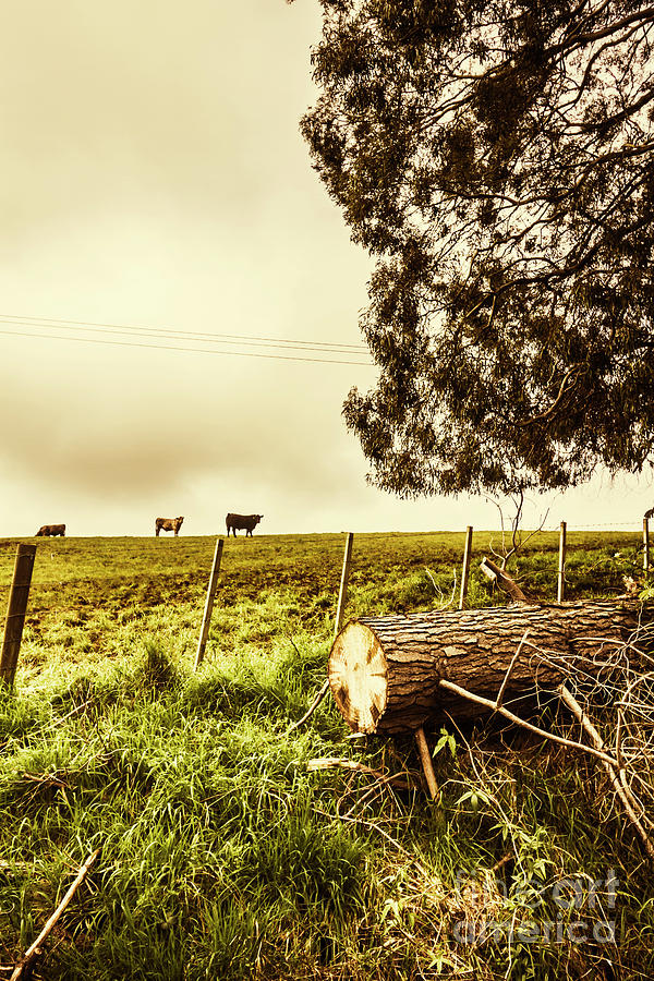 Rustic rural countryside landscape Photograph by Jorgo Photography