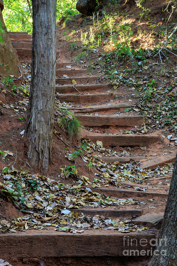Rustic Stairway Photograph by Richard Smith