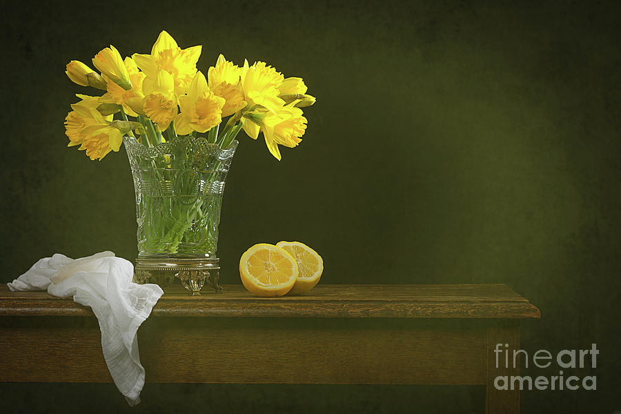 Spring Photograph - Rustic Still Life With Daffodils by Amanda Elwell
