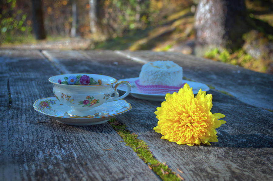 Rustic Still Life with Tea Cup Photograph by Cathy Mahnke