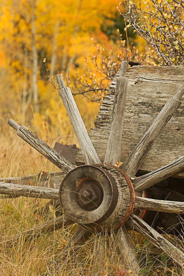 Rustic Wagon Wheel Photograph by Ronda Kimbrow