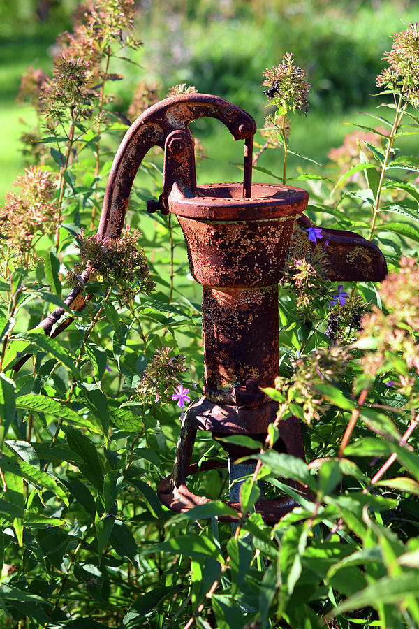 Rustic Water Pump Photograph by Linda L Brobeck