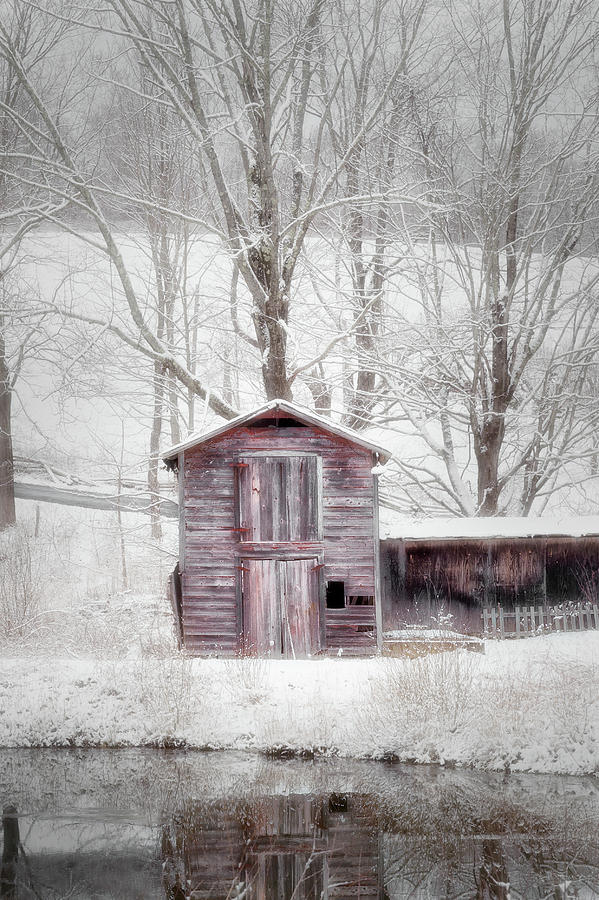 Rustic Winter 2016 Photograph by Bill Wakeley