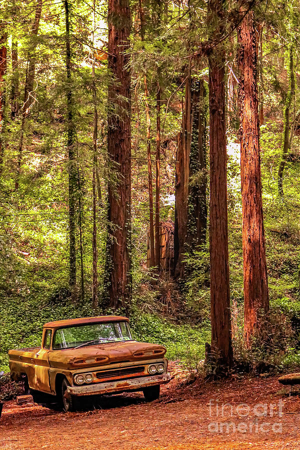 Rusting away Photograph by Claudia M Photography