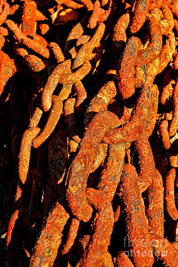 Rusting Chains in Warm Sunlight Photograph by Olivier Le Queinec