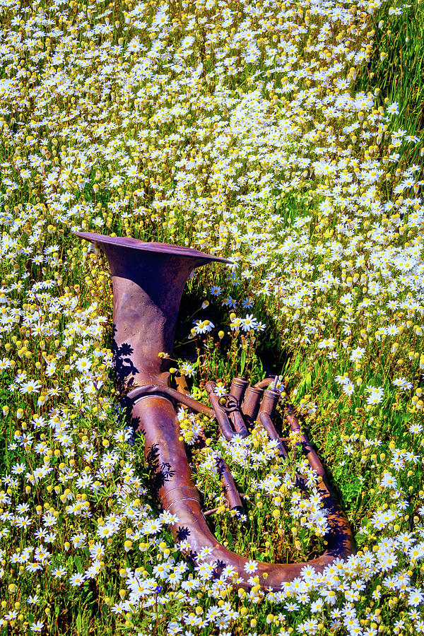 Rusting Horn In The Flowers Photograph by Garry Gay