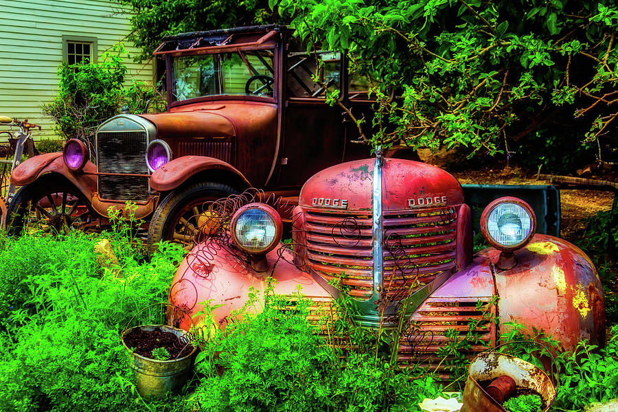 Car Photograph - Rusting In The Garden by Garry Gay