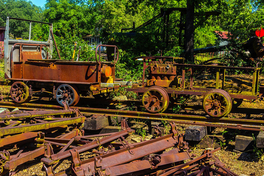 Rusting Railway Cars Photograph by Garry Gay