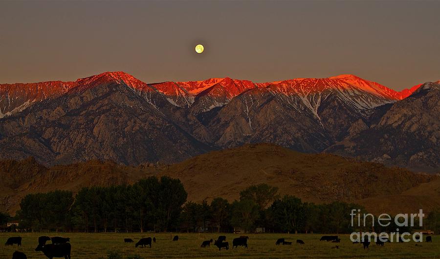 Rustlers Moon Ranchers Sunrise Photograph by Gus McCrea