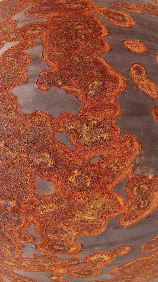 Abstract Photograph - Rusty No. 1-3 by Sandy Taylor