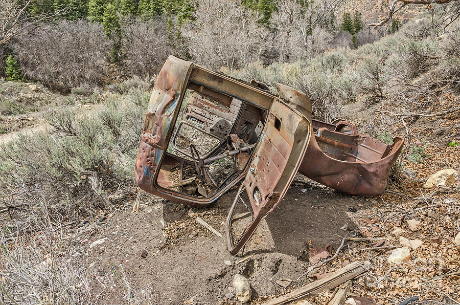 Rusty Abandoned Vehicle Photograph by Sue Smith
