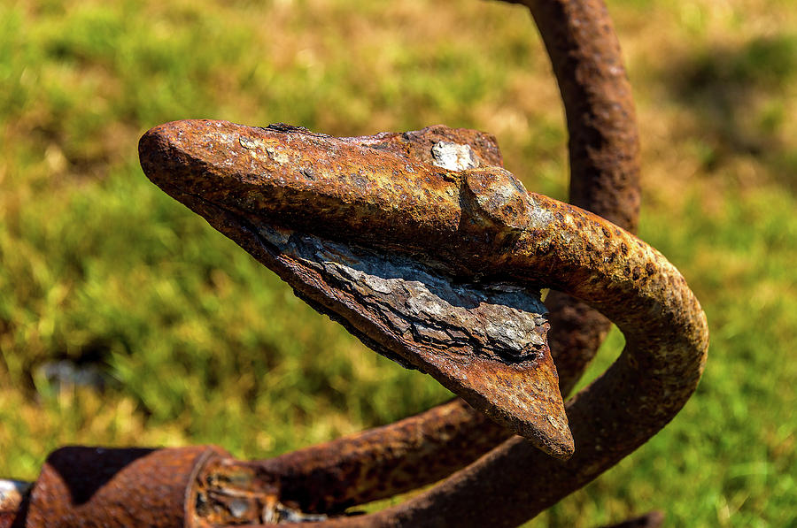 Rusty Anchor Photograph by Xavier Cardell
