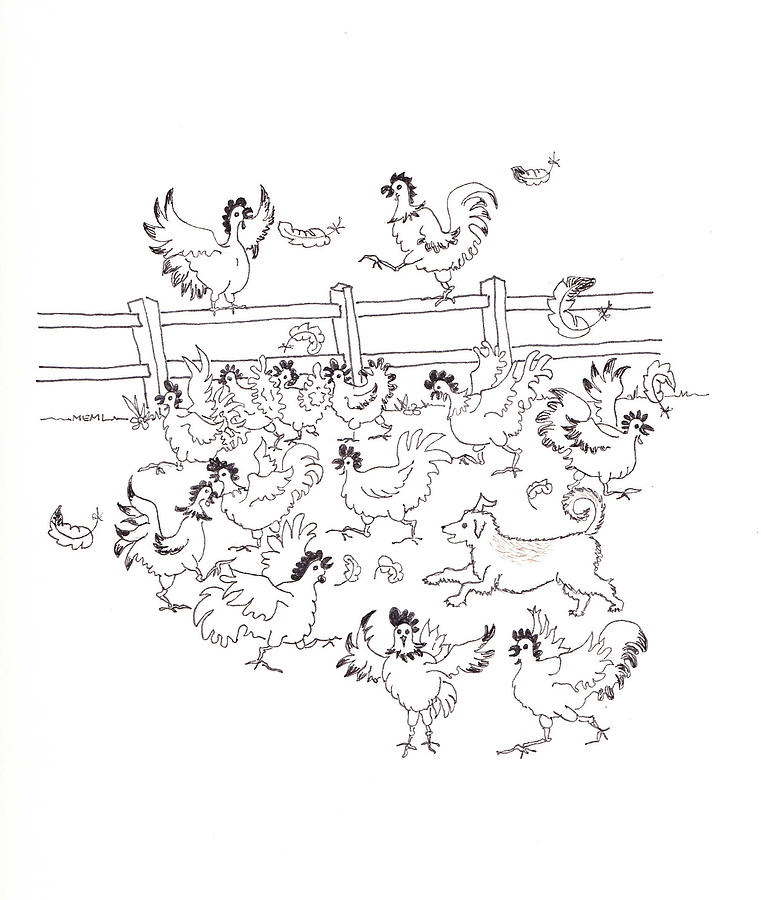 Rusty and the Chickens Drawing by Mary Ellen Mueller Legault