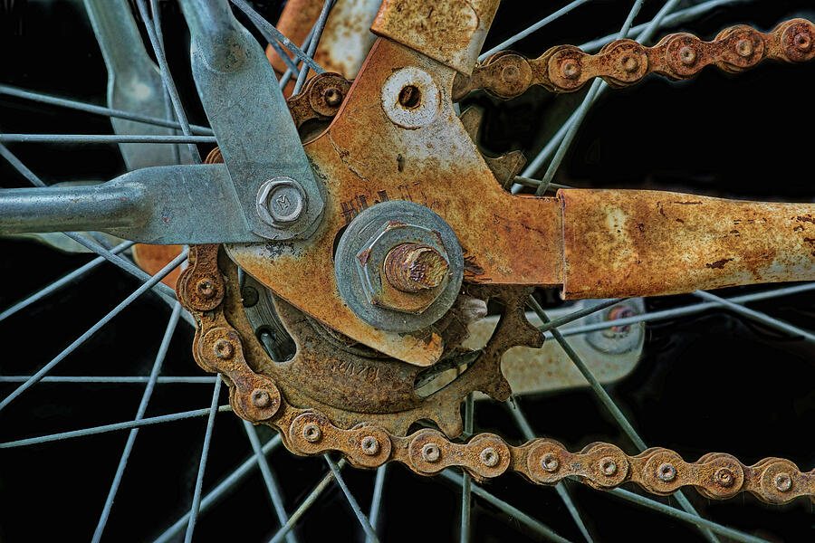 Bicycle Photograph - Rusty Bike Wheel and Chain by Nikolyn McDonald