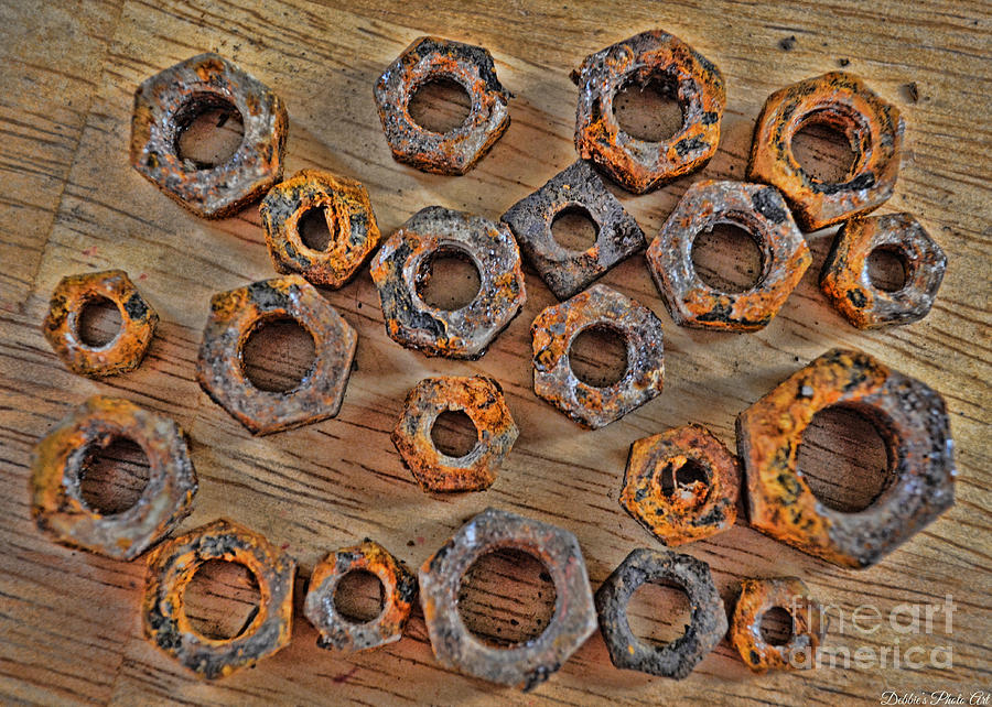 Rusty Bolts 1 Photograph by Debbie Portwood