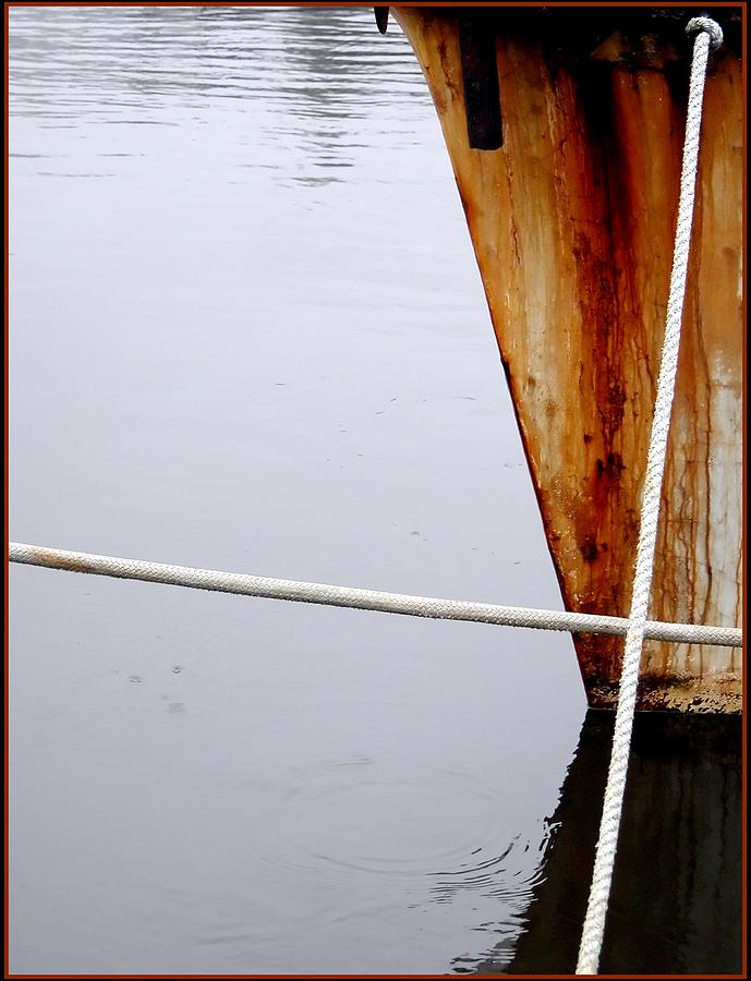 Rusty Bow Lines Photograph by Jerry Sodorff