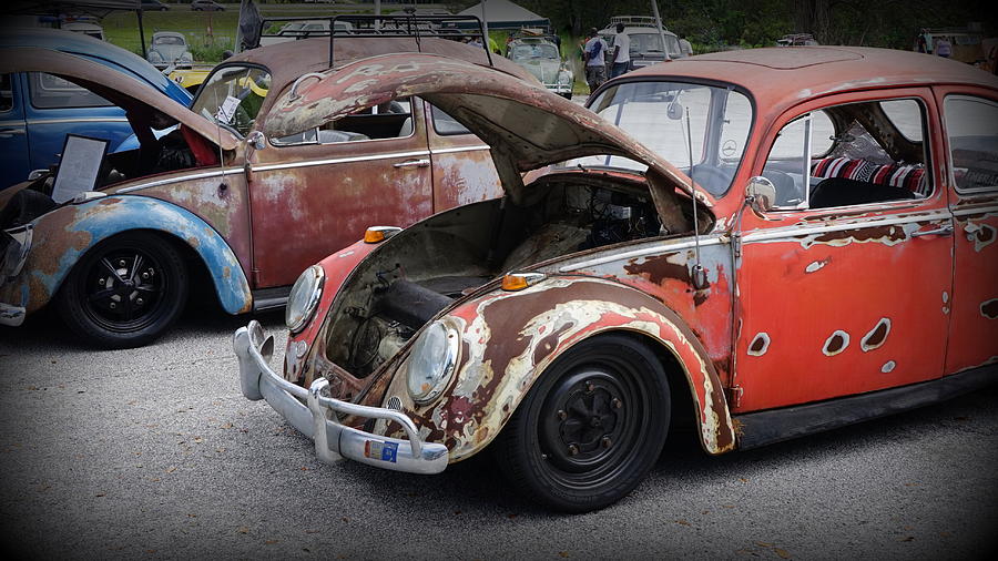 Rusty Bugs Photograph by Laurie Perry