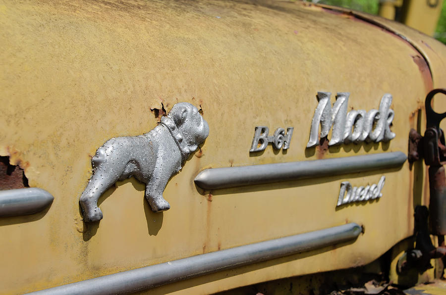 Rusty Bulldog - Mack Truck Photograph by Bill Cannon