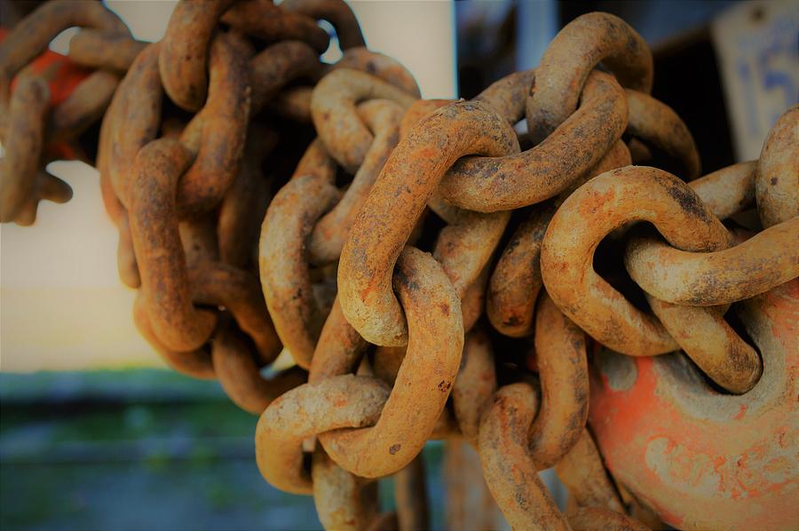 Rusty chain links Photograph by Cheryl Hoyle