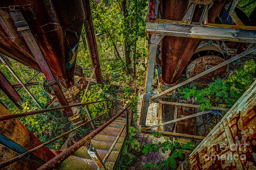 Rusty Climb Photograph by Roger Monahan