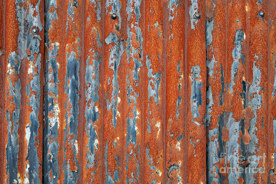 Rusty Corrugated Tin Photograph by Tim Gainey