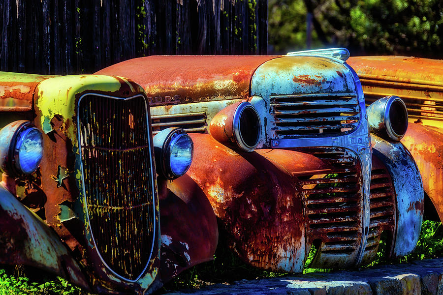 Rusty Dodge Photograph by Garry Gay