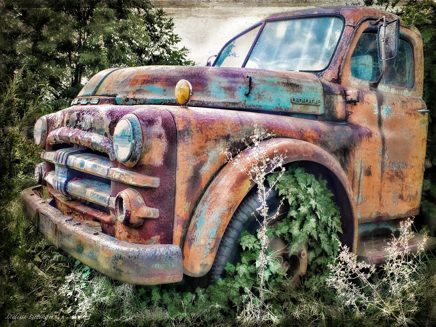 Rusty Dodge Pickup Truck Photograph by Melissa Bittinger