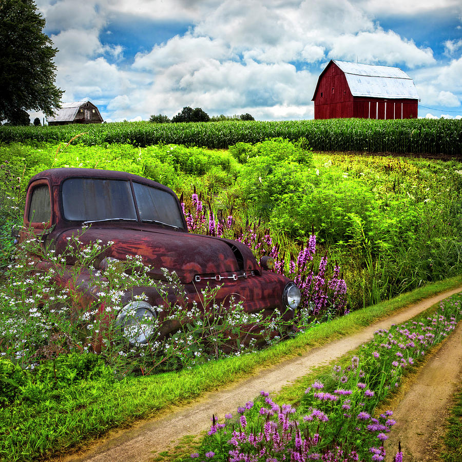 Rusty Dodge Planted in the Wildflowers Photograph by Debra and Dave Vanderlaan