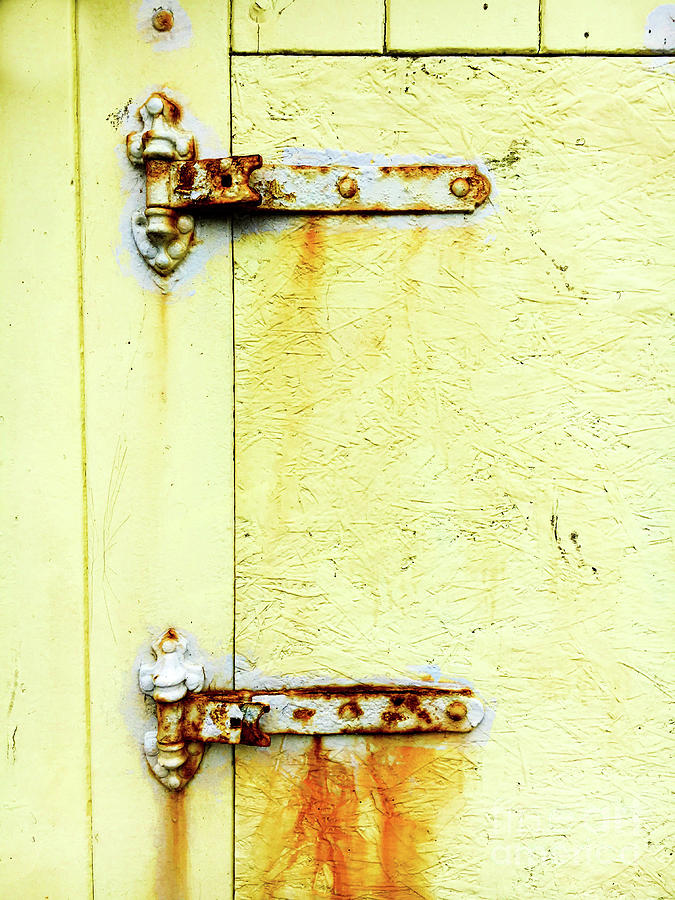 Rusty door hinges Photograph by Tom Gowanlock