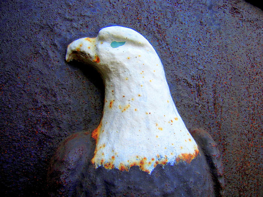 Rusty Eagle With Eye Of Blue Photograph by Don Struke