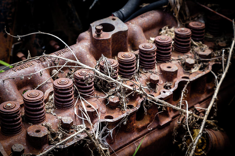 Rusty Engine 2 Photograph by Chad Rowe - Fine Art America