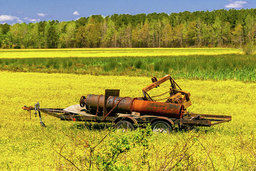 Rusty Farm Equipment in Yellow Field Photograph by Norma Brandsberg