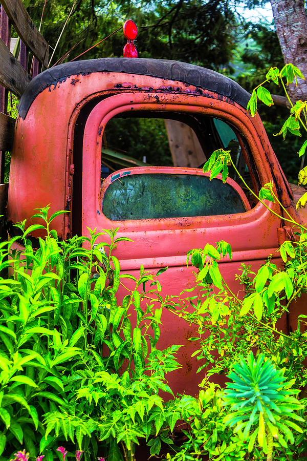 Rusty Garden Truck Photograph by Garry Gay