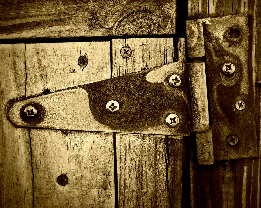 Rusty Hinge Photograph by Perry Webster