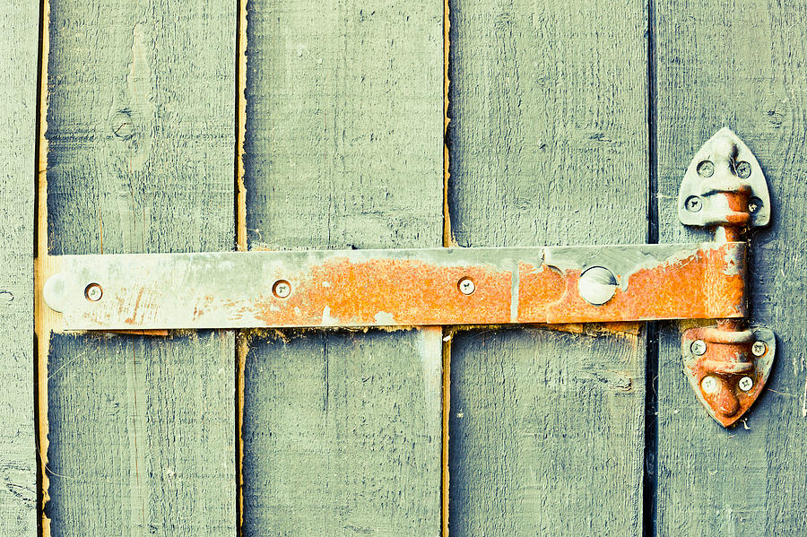 Rusty hinge Photograph by Tom Gowanlock