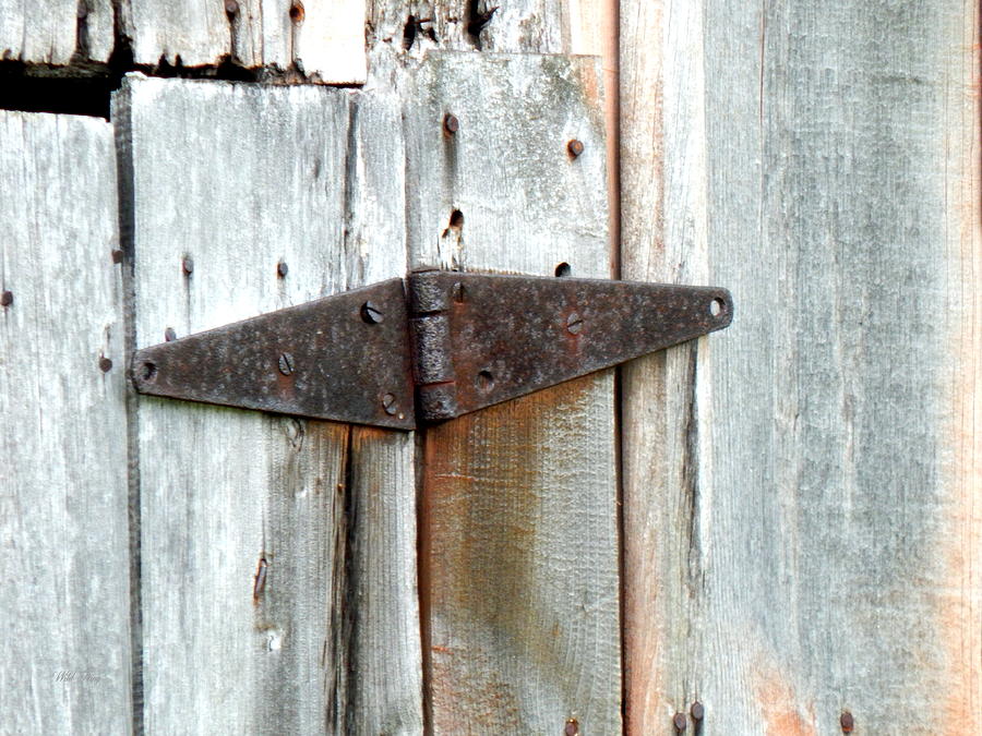 Rusty Hinged Photograph by Wild Thing