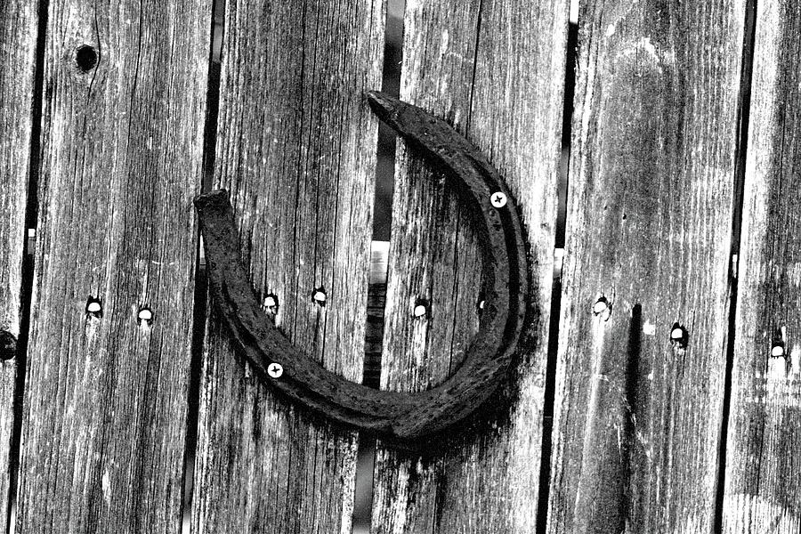 Rusty Horseshoe On A Wooden Fence 01 - BW - Water Paper Photograph by Pamela Critchlow
