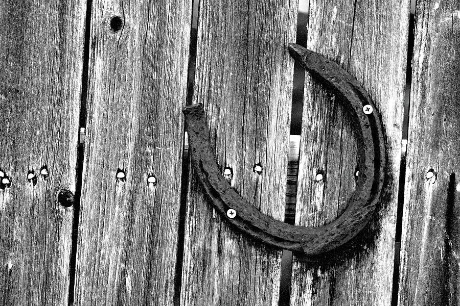 Rusty Horseshoe On A Wooden Fence 02 - BW - Water Paper Photograph by Pamela Critchlow